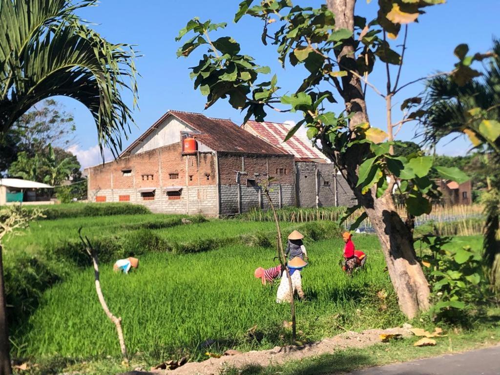 Bata Merah